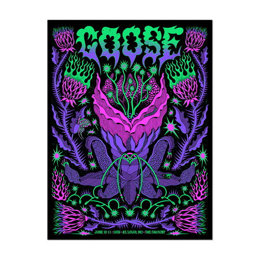 St. Louis, MO - 6/10+11 Poster by Amy Jean