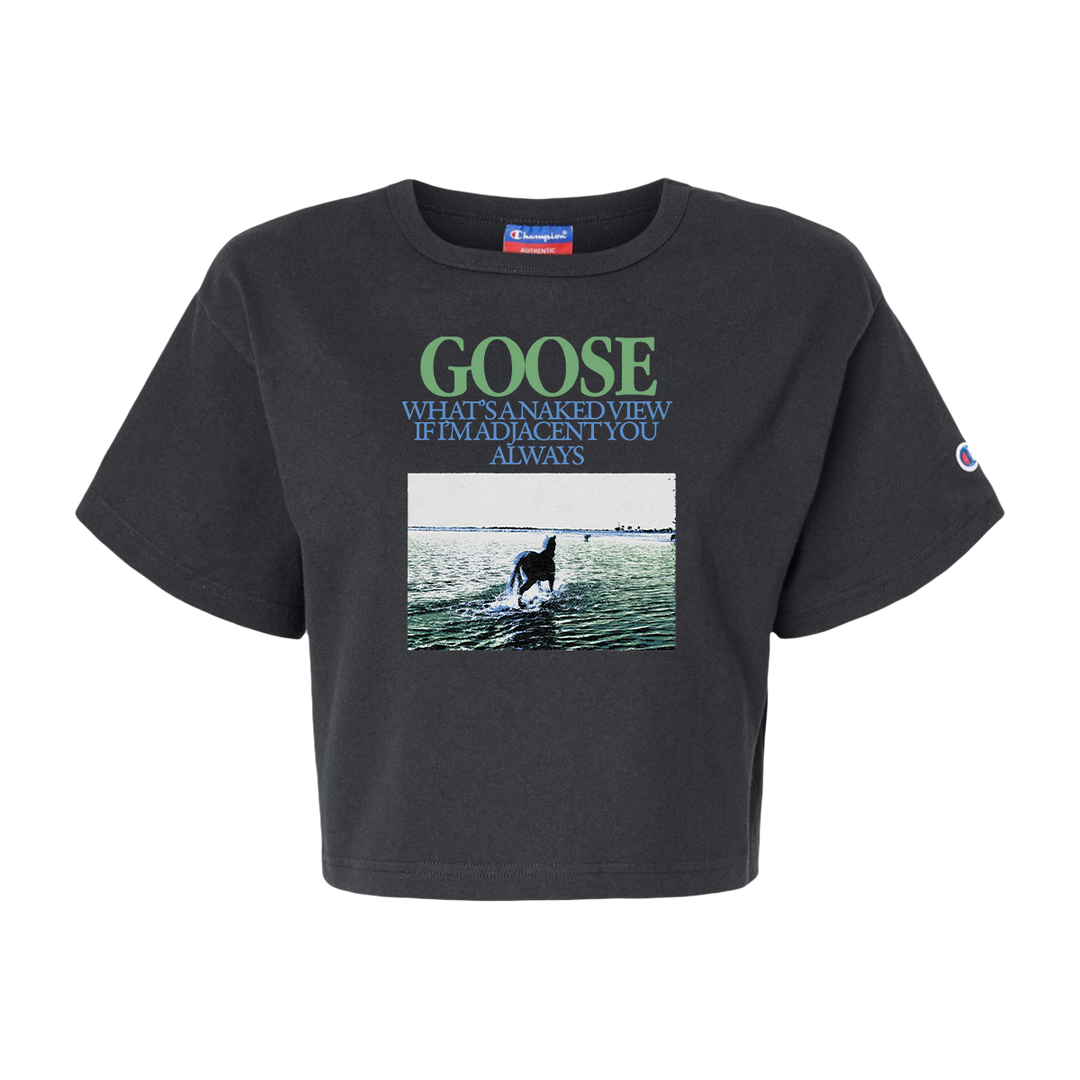 Ladies Goose The Band Ladies goose the band