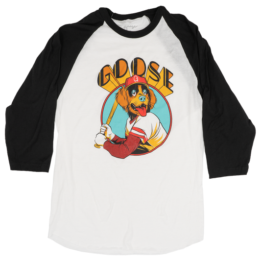 Baseball Dog Raglan